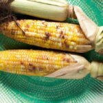 Master the Flame: Ultimate Guide to Grilling Corn on Cob