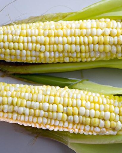 Perfectly Juicy: How to Sous Vide Corn on the Cob Right