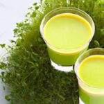 Wheatgrass Shots: Unlocking Nature’s Tiny Power Boost