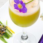 Milk Thistle Tea: Nature’s Brew for Liver Wellness